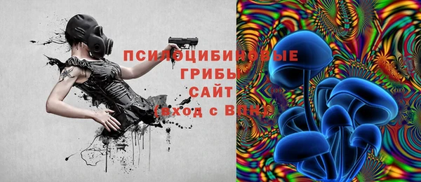 бошки Белокуриха