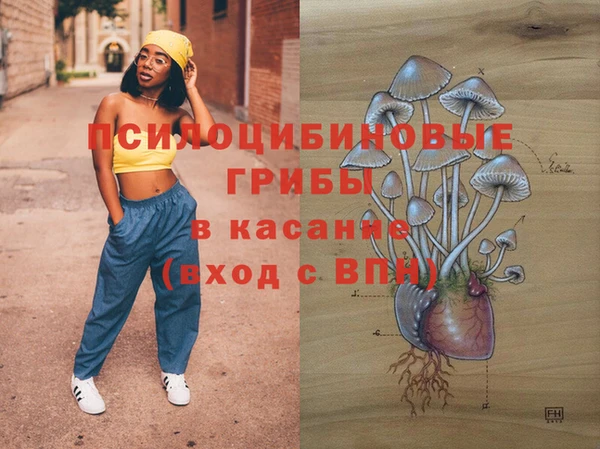 бошки Белокуриха