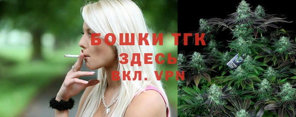 бошки Белокуриха