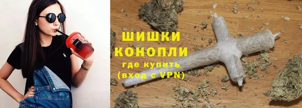 бошки Белокуриха