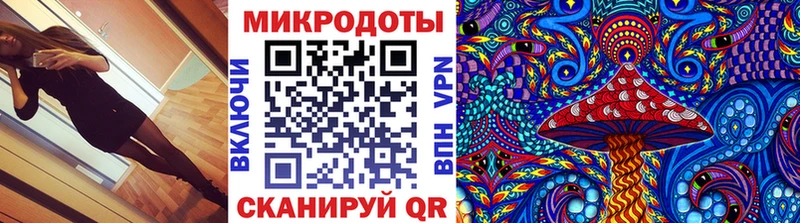 где найти наркотики  Котельники  Псилоцибиновые грибы Psilocybe 